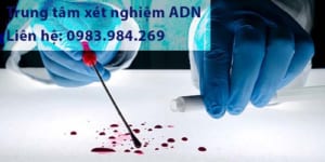 Trung Tam Xet Nghiem Adn Gia Re, Chinh Xac Tuyet Doi, Tra Ket Qua Nhanh Chong, Xet Nghiem Adn Huyet Thong Cha Con, Xet Nghiem Adn Thai Nhi
