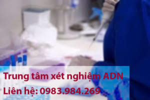 Trung Tam Xet Nghiem Adn Gia Re, Chinh Xac Tuyet Doi, Tra Ket Qua Nhanh Chong, Xet Nghiem Adn Huyet Thong Cha Con, Xet Nghiem Adn Thai Nhi