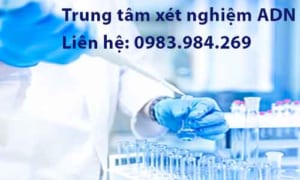 Trung Tam Xet Nghiem Adn Gia Re, Chinh Xac Tuyet Doi, Tra Ket Qua Nhanh Chong, Xet Nghiem Adn Huyet Thong Cha Con, Xet Nghiem Adn Thai Nhi