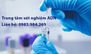 Trung Tam Xet Nghiem Adn Gia Re, Chinh Xac Tuyet Doi, Tra Ket Qua Nhanh Chong, Xet Nghiem Adn Huyet Thong Cha Con, Xet Nghiem Adn Thai Nhi