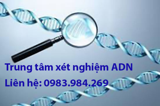 gia-xet-nghiem-adn-tai-yen-bai