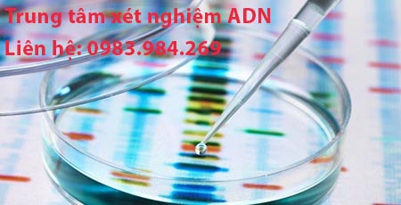 Trung Tam Xet Nghiem Adn Gia Re, Chinh Xac Tuyet Doi, Tra Ket Qua Nhanh Chong, Xet Nghiem Adn Huyet Thong Cha Con, Xet Nghiem Adn Thai Nhi