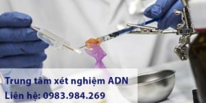 Trung Tam Xet Nghiem Adn Gia Re, Chinh Xac Tuyet Doi, Tra Ket Qua Nhanh Chong, Xet Nghiem Adn Huyet Thong Cha Con, Xet Nghiem Adn Thai Nhi