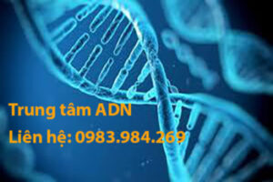 Trung Tam Xet Nghiem Adn Bac Kan, Xet Nghiem Adn O Bac Kan, Xet Nghiem Adn Gia Re, Xet Nghiem Adn Thai Nhi O Bac Kan, Xet Nghiem Adn Cha Con O Bac Kan, Xet Nghiem Adn Lam Giay Khai Sinh O Bac Kan