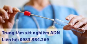 Trung Tam Xet Nghiem Adn Phu Tho, Xet Nghiem Adn O Phu Tho, Xet Nghiem Adn Gia Re, Xet Nghiem Adn Thai Nhi O Phu Tho, Xet Nghiem Adn Cha Con O Phu Tho, Xet Nghiem Adn Lam Giay Khai Sinh O Phu Tho