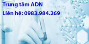 Trung Tam Xet Nghiem Adn Ninh Binh, Xet Nghiem Adn O Ninh Binh, Xet Nghiem Adn Gia Re, Xet Nghiem Adn Thai Nhi O Ninh Binh, Xet Nghiem Adn Cha Con O Ninh Binh, Xet Nghiem Adn Lam Giay Khai Sinh O Ninh Binh