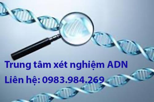 Thủ tục xét nghiệm ADN tại Thanh Hóa