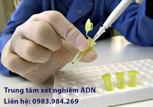 Địa chỉ xét nghiệm ADN ở Vĩnh Phúc