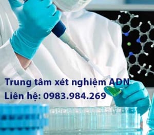 Cách xét nghiệm adn cha con tại Hà Nam