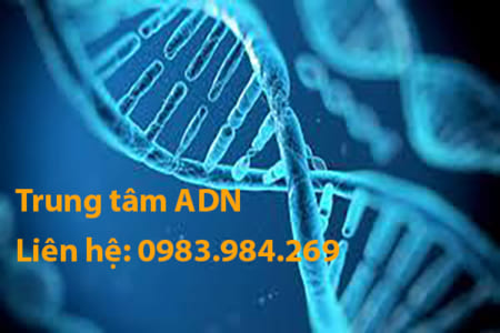 Giá xét nghiệm ADN tại Hải Dương rẻ nhất