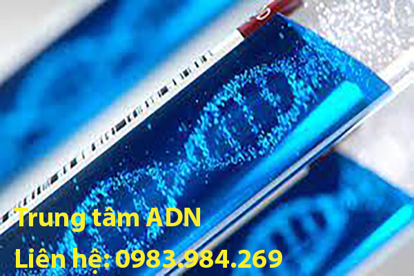 Cách xét nghiệm ADN cha con tại Quảng Ninh
