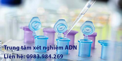 gia-xet-nghiem-adn-re-nhat-tai-binh-duong