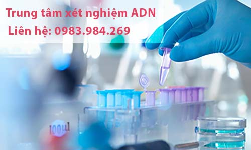 cach-xet-nghiem-adn-cha-con-tai-vung-tau