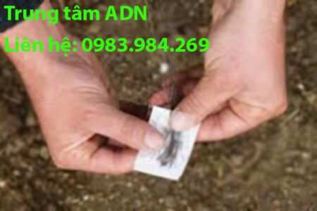 cach-xet-nghiem-adn-cha-con-tai-binh-dinh