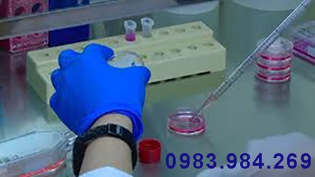 gia-xet-nghiem-adn-re-nhat-tai-vinh-long