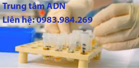 xet-nghiem-adn-huyet-thong-tai-ha-nam