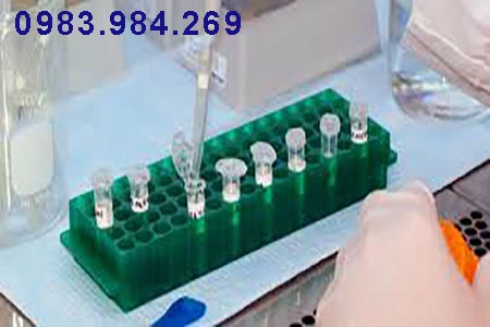 gia-xet-nghiem-adn-tai-long-an-re-nhat