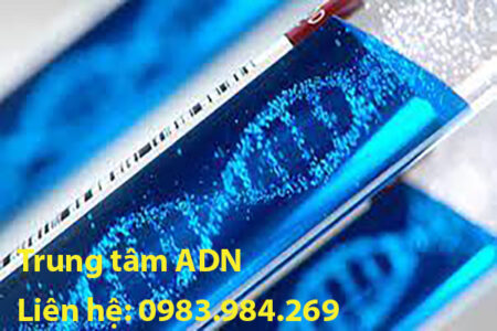 gia-xet-nghiem-adn-tai-bac-lieu