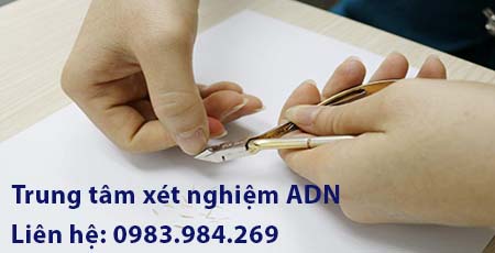 xet-nghiem-adn-huyet-thong-tai-vinh-phuc