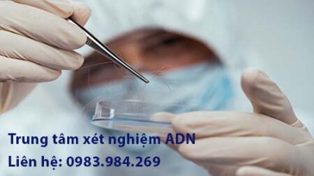 cach-xet-nghiem-adn-cha-con-tai-tien-giang