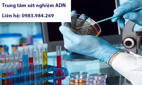 Xet-nghiem-adn-huyet-thong-tai-vung-tau