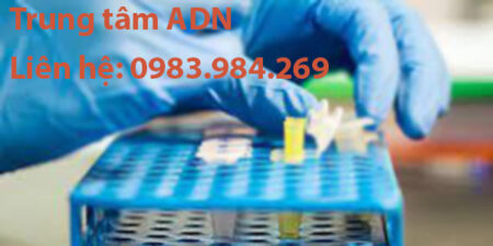 dia-chi-xet-nghiem-adn-o-bac-lieu
