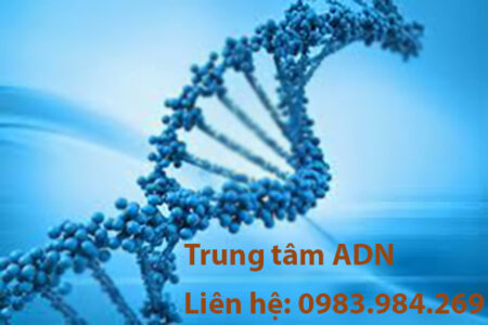 gia-xet-nghiem-adn-tai-bac-lieu-re-nhat