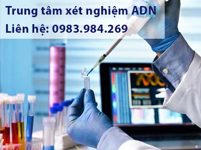 quy trinh xet nghiem adn tai lao cai