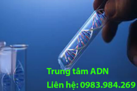 quy-trinh-xet-nghiem-adn-tai-cao-bang