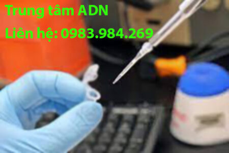 quy-trinh-xet-nghiem-adn-tai-hai-duong