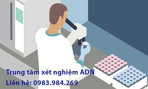 Quy Trình Xét Nghiệm Adn Tại Hải Dương Trung Tâm Xét Nghiệm Adn 