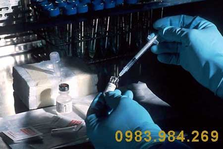 xet-nghiem-adn-thai-nhi-tai-bac-kan