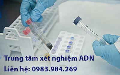 xet-nghiem-adn-thai-nhi-tai-ha-nam