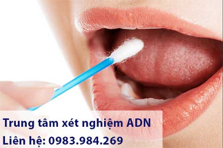 Trung Tam Xet Nghiem Adn Cao Bang