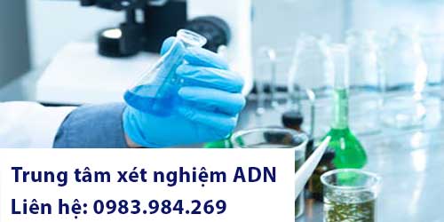 xet-nghiem-adn-thai-nhi-tai-phu-tho