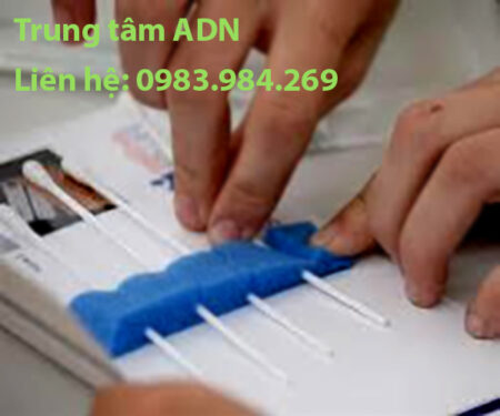 Trung Tam Xet Nghiem Adn Tuyen Quang