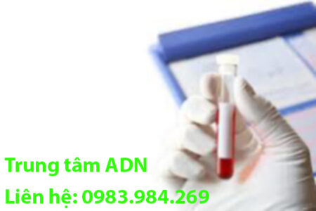 xet-nghiem-adn-thai-nhi-tai-thai-binh