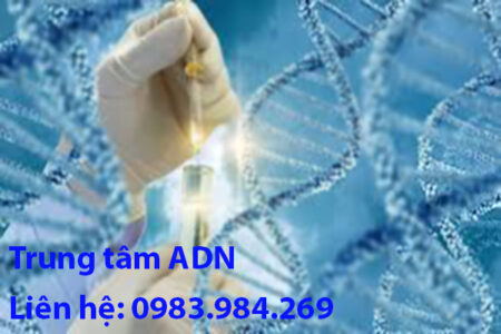 xet-nghiem-adn-lam-giay-khai-sinh-tai-yen-bai
