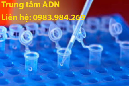 xet-nghiem-adn-cha-con-tai-quang-ninh