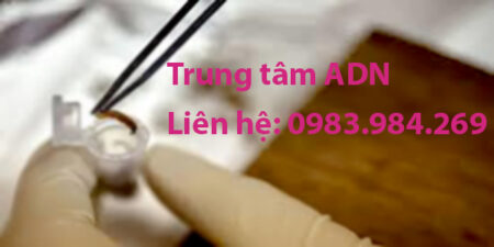 chi-phi-xet-nghiem-adn-tai-bac-lieu