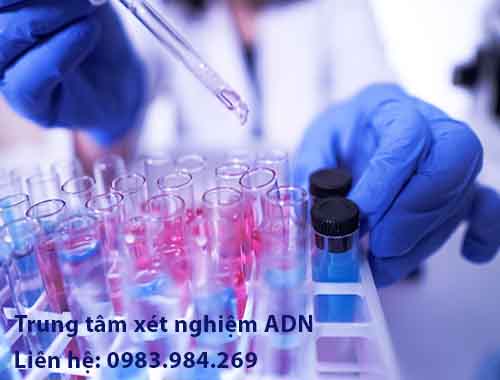 Giam-dinh-adn-tai-lang-son