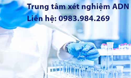 giam-dinh-adn-tai-ninh-binh