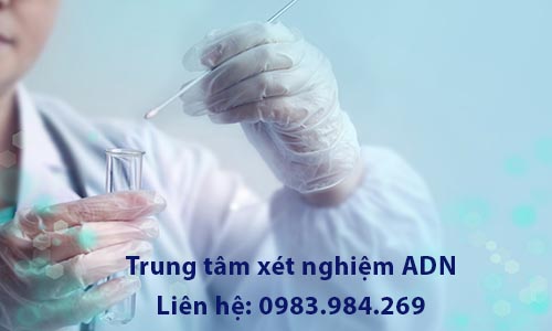 giam-dinh-adn-tai-ninh-binh